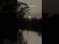 2 lines sad poetry and sad evening sad short story reel status #twoliner #sadmood #sadsoul