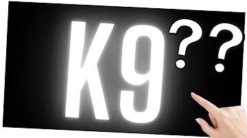 ¿Qué significa K-9?