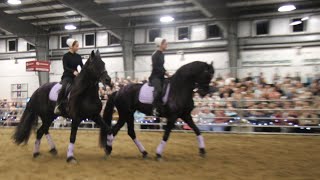 Friesian Heritage Drill Team at the Horseman’s Mission Friday night 