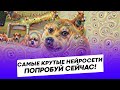 Самые крутые нейросети которые можно опробовать уже сейчас!