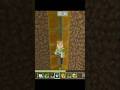 Minecraft Automatic Elevator Moment