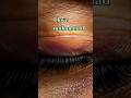 KAYANAT ME SABSE JYADA PYAR HUZOOR APKE UMMATI CHANNEL#allah #muhammadﷺ #short #bome #shortsfeed