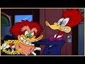 Woody Woodpecker Show | Wild Woodpecker | Full Episode | Cartoons For Children