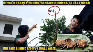 Gak Masuk Akal! Berburu Burung hanya dengan Ketapel | Olahan Burung Kriuk Sambal Geprek Super Pedas