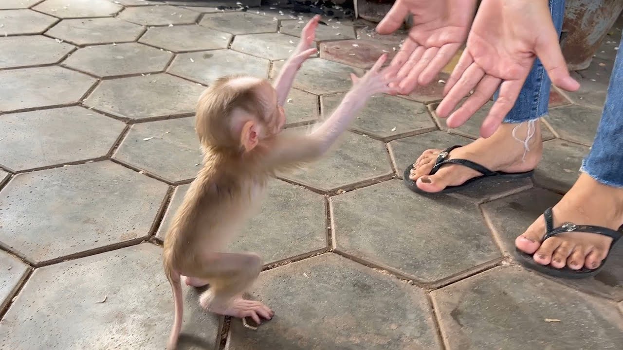 Dramtic Grl JOYEE Gently Hand Up Asking Mom To Pick Her Up