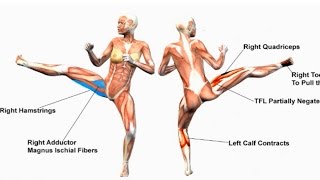 Twist Kick Anatomy Bituro Chagi Taekwondo Karate Kicking