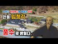 안동 임청각, 11명의 독립투사를 배출한 땅의 비밀. 풍수로 밝히다.