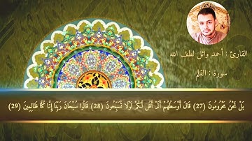 | سورة القلم 🌻🌼 | أحمد وائل لطف الله |