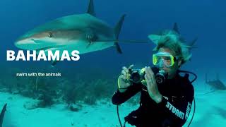 Dive into a full Bahamas Adventure