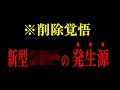 【参政党】削除される前に保存を強くオススメします。現役国会議員がよく言った!アレの起源は…/ 神谷宗幣 街頭演説 2023/8/14 水戸駅