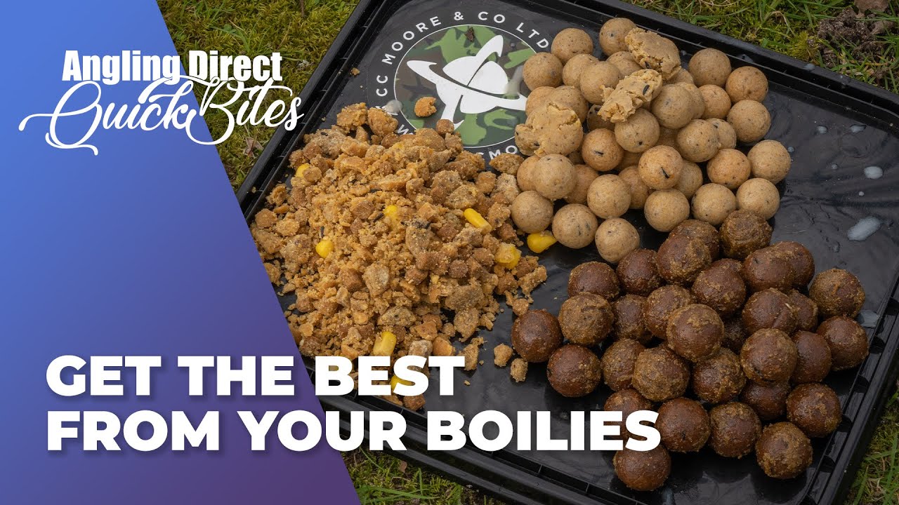 Get The Best From Your Boilies - Carp Fishing Quickbite 