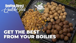 Get The Best From Your Boilies - Carp Fishing Quickbite