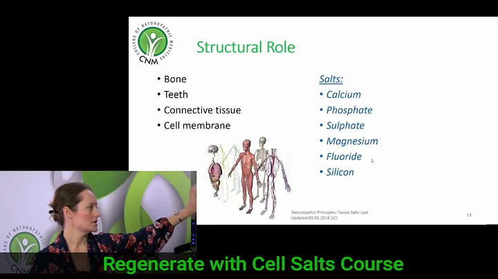 12 Cell Salts of Dr. Schuessler