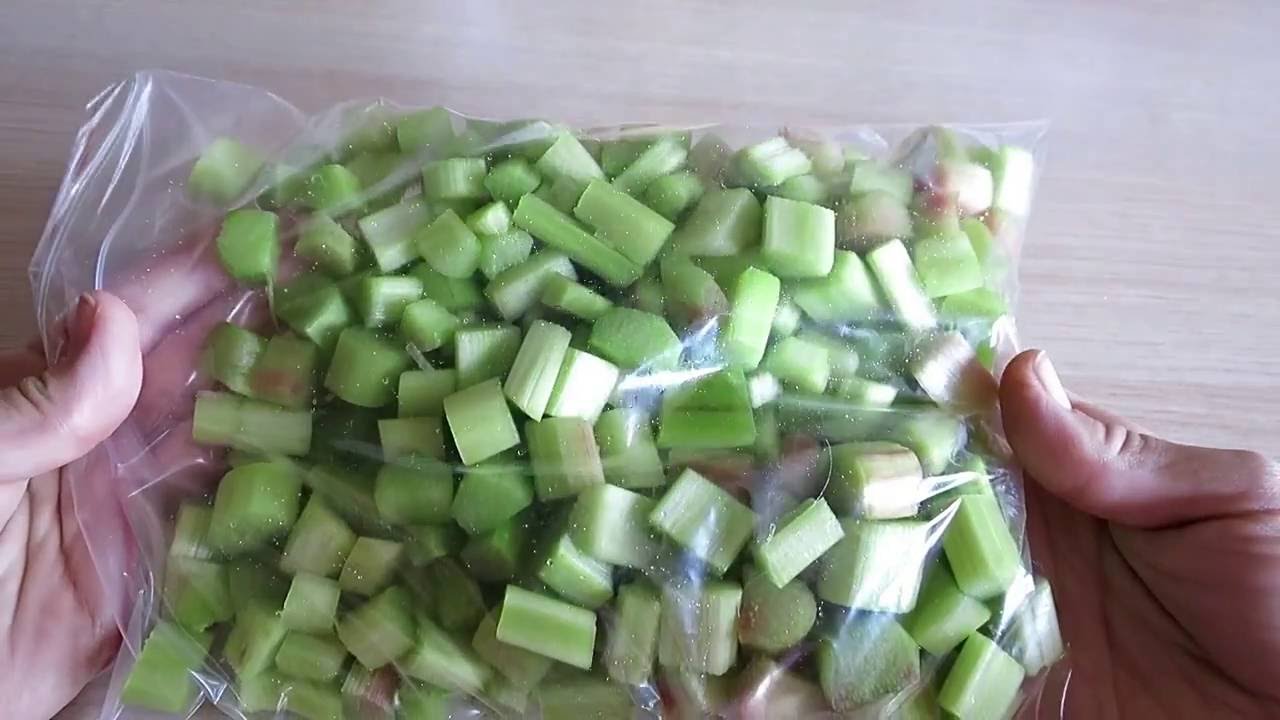 РЕВЕНЬ ЗАМОРОЗКА. ПОЛЬЗА И ВРЕД РЕВЕНЯ / Freezing Rhubarb