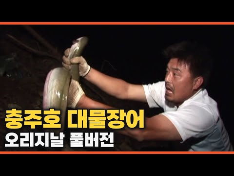 [다시 보는 FTV 명작] &amp;#39;어둠 속의 괴물 - <strong>충주호</strong> 대물 <strong>장어</strong>&amp;#39; 오리지널 풀버전