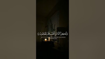 أفأنت تهدي العمى ولو كانوا لا يبصرون  #سورة_يونس #عبدالرحمن_مسعد #قرآن #تلاوة #صوت_الخشوع