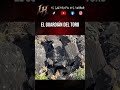 Esto fue grabado a plena luz del día y sigue sin explicación 🩻⛰️ #paranormal #increíble #terror