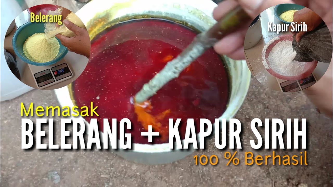 CARA MEMBUAT RAMUAN BELERANG @MARAJA ORGANIK