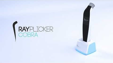 Borea | Rayplicker Cobra | EN