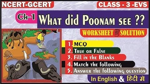 What did Poonam see? II Worksheet Solution II Class 3 EVS ch 1 Worksheet Solution
