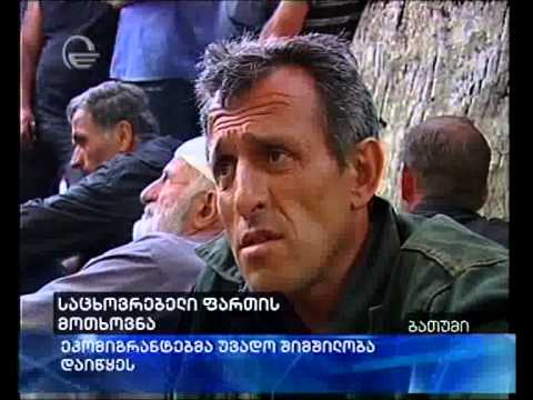 ეკომიგრანტებმა უვადო შიმშილობა დაიწყეს