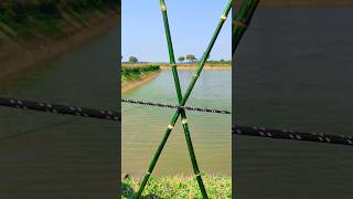 Simple but Powerful Knot You’ll Use Daily #shorts #knowledge #camping #usa