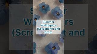 Summer Wallpapers! screenshot 5