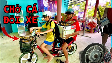 Lấy Cá Lóc Vẩy Rồng Vàng Đổi Xe Độ Của Anh Tư|ATK