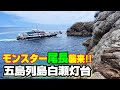 【梅雨のモンスター尾長を狙え！】五島列島白瀬灯台 2025年6月！