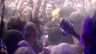 King Parrot - Its A Rort