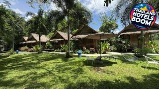 Butterfly Hostel, Pai | Pai, Thailand | Hotel Review ⭐ | Thailand Hotels Boom