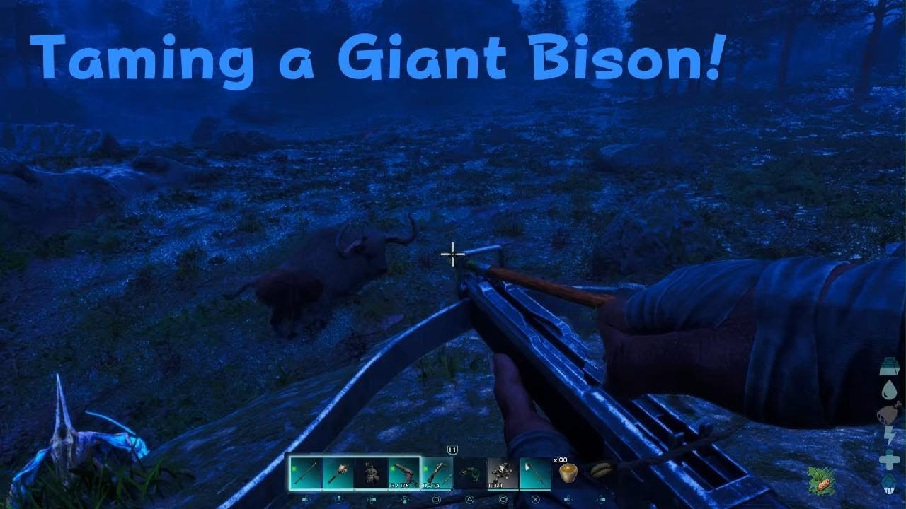 ARK Survival Ascended - Ragnarok - Taming a Giant Bison!