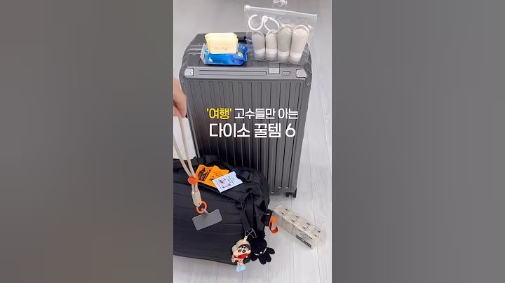 꼭 챙기세요! 다이소 여행 꿀템 6가지 #다이소꿀템 #여행준비물 #해외여행준비