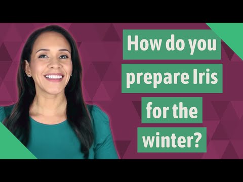 Video: Hoe Kunnen Irissen De Winter Overleven?