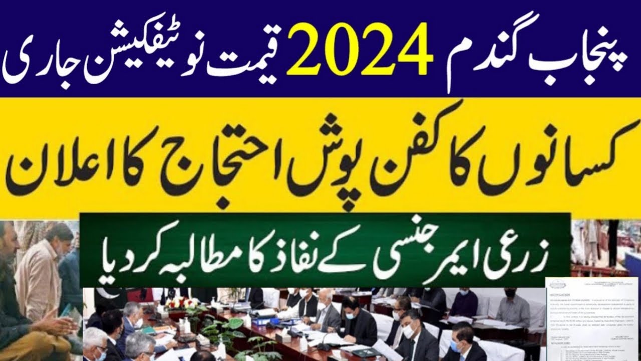 Gandam ka rate 2024 | updated wheat support price in Punjab 2024 ...
