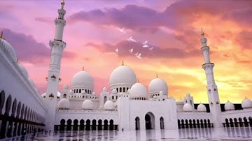 تلاوة سورة صٓ بصوت القارئ (وديع اليمني)