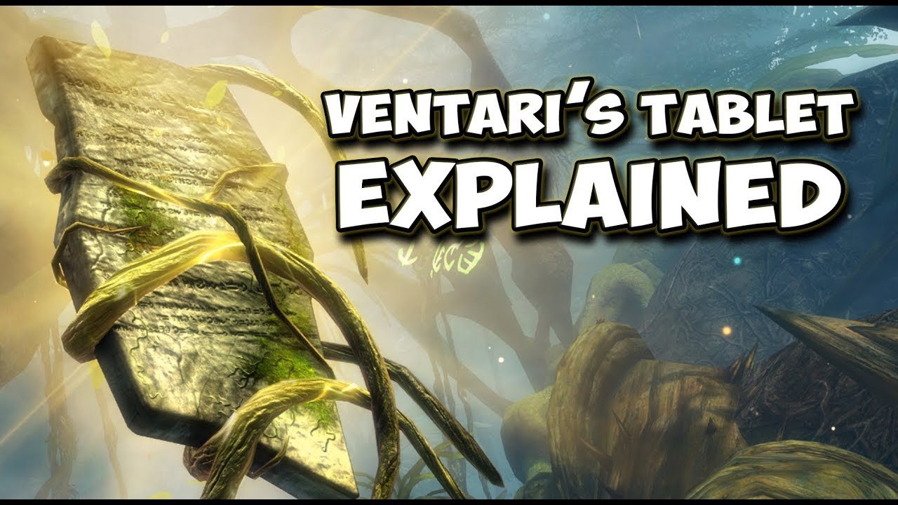 Guild Wars 2 - Ambient Dialogue: The Grove Part 2 | The Upper Level