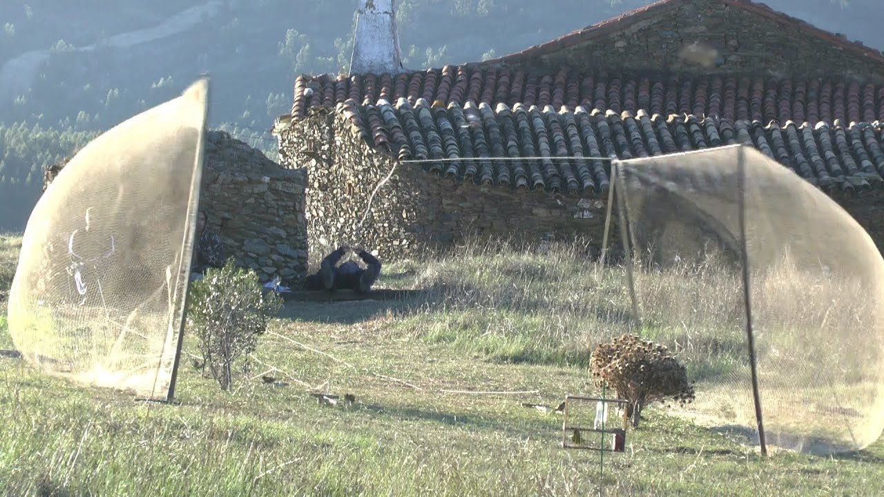 Capturas al paso con Red Abatible (HD)