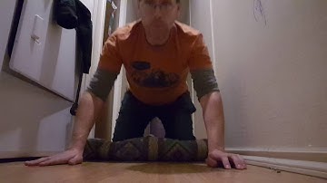 22 Pushups for 22 Days Challenge - Day 15