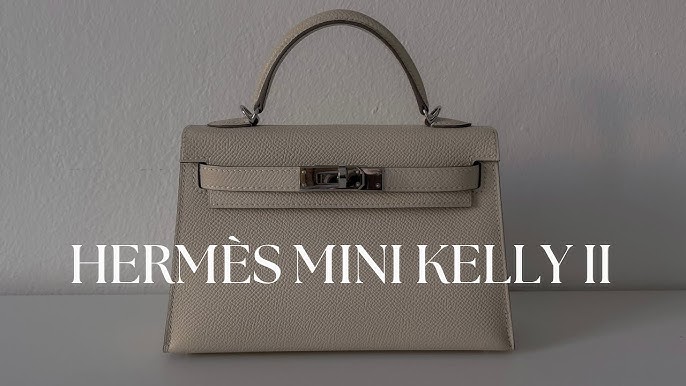 Offered 2 Rouge color Birkins and I need your HELP!