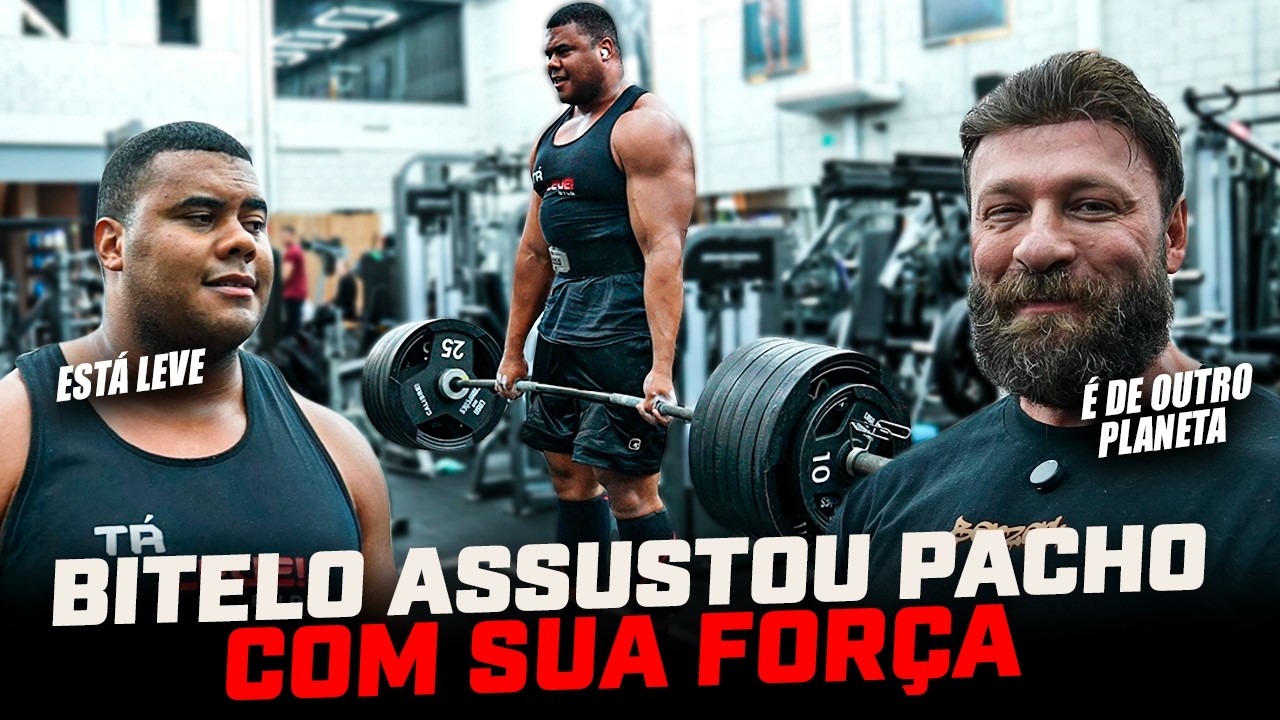 BITELO IMPRESSIONOU PACHO COM SUA FORÇA BRUTAL