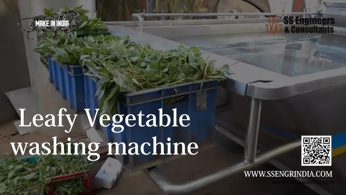 Vegetables Washing Machine (3 Chamber) 