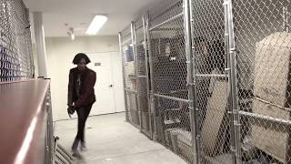 Celebrity I Heart Fixed Camera. (“Classic Resident Evil be like...”) Wealth