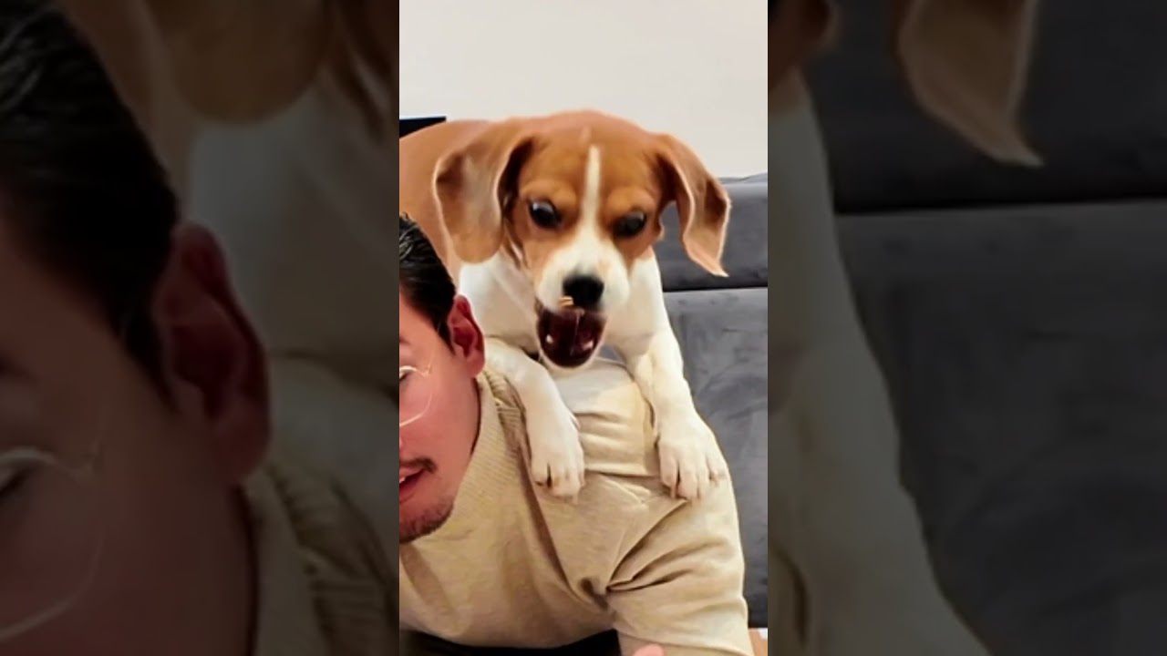 Fangen und Halten auf mein Rücken