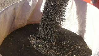 クボタERH450  黒千石収穫