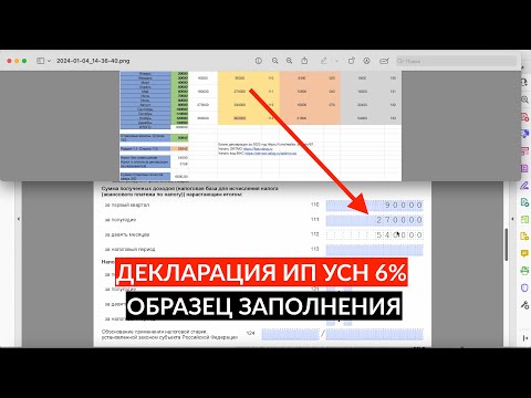 Декларация ИП УСН 6 без сотрудников за 2023 год с учетом страховых взносов ОБРАЗЕЦ ЗАПОЛНЕНИЯ