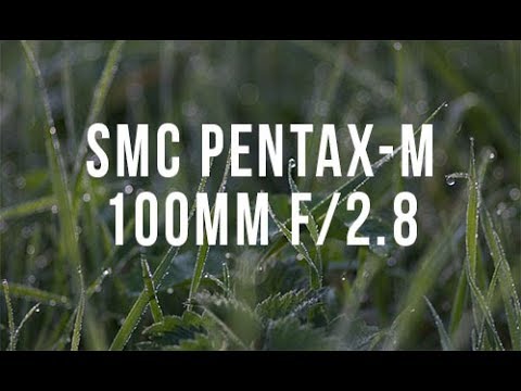 SMC Pentax M 100mm Sample Shots Autumn 17