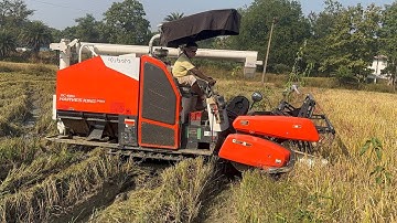 KUBATA Harvester Cutting Rice ll Kubata Harvester Working video 
