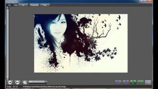 WPF Picture viewer demonstration