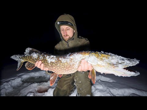 Видео: ЖИВУ В ПАЛАТКЕ. ОГРОМНЫЕ ЩУКИ НЕ ЛЕЗУТ В ЛУНКИ. ОХРАНА ДОБЫЧИ. ПОДЛЕДНАЯ РЫБАЛКА.